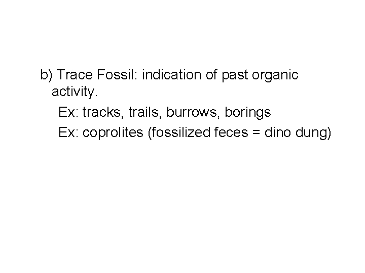 b) Trace Fossil: indication of past organic activity. Ex: tracks, trails, burrows, borings Ex: