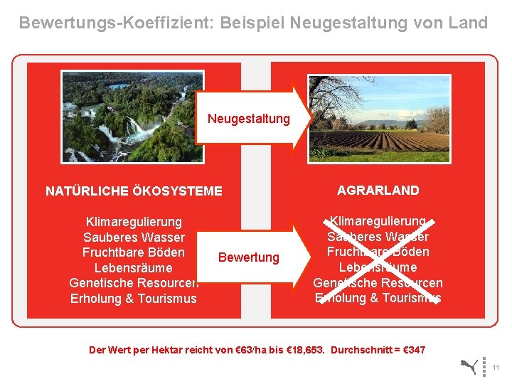 Bewertungs-Koeffizient: Beispiel Neugestaltung von Land Neugestaltung LOST AS A RESULT OF LAND CONVERSION NATÜRLICHE