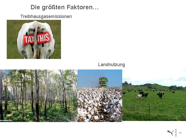 Die größten Faktoren… Treibhausgasemissionen Landnutzung 15 