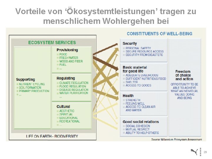 Vorteile von ‘Ökosystemtleistungen’ tragen zu menschlichem Wohlergehen bei 29 