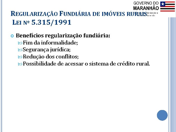 REGULARIZAÇÃO FUNDIÁRIA DE IMÓVEIS RURAIS LEI Nº 5. 315/1991 Benefícios regularização fundiária: Fim da
