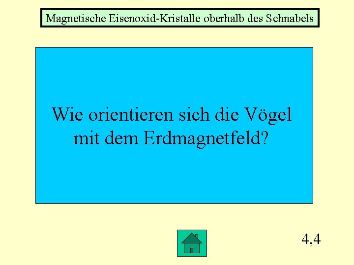 Magnetische Eisenoxid-Kristalle oberhalb des Schnabels Wie orientieren sich die Vögel mit dem Erdmagnetfeld? 4,