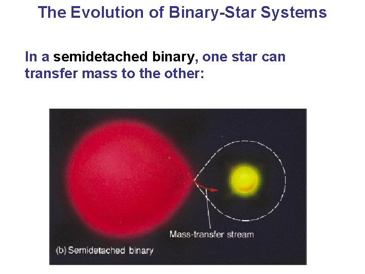 The Evolution of Binary-Star Systems In a semidetached binary, one star can transfer mass