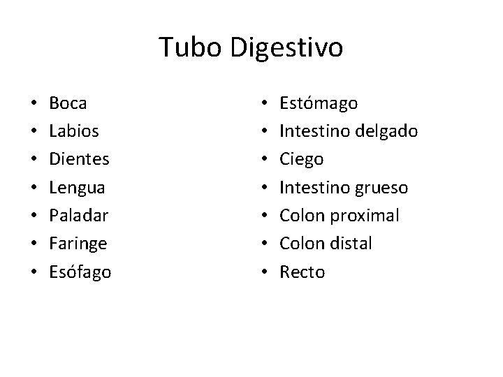 Tubo Digestivo • • Boca Labios Dientes Lengua Paladar Faringe Esófago • • Estómago