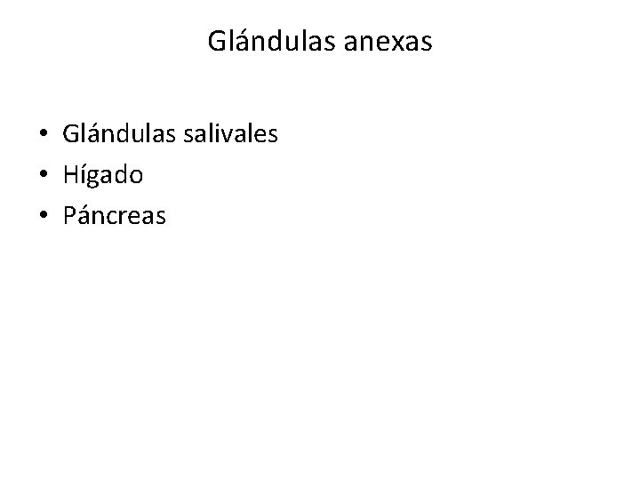 Glándulas anexas • Glándulas salivales • Hígado • Páncreas 