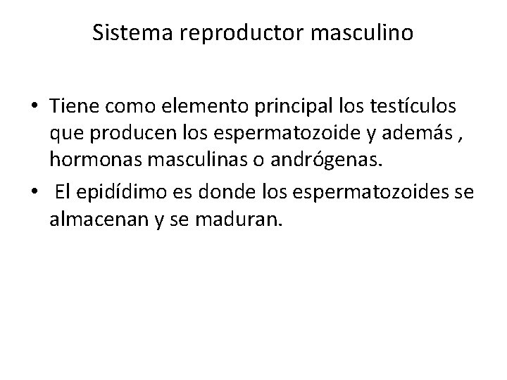 Sistema reproductor masculino • Tiene como elemento principal los testículos que producen los espermatozoide