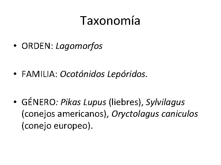 Taxonomía • ORDEN: Lagomorfos • FAMILIA: Ocotónidos Lepóridos. • GÉNERO: Pikas Lupus (liebres), Sylvilagus