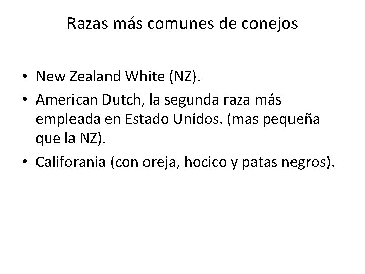 Razas más comunes de conejos • New Zealand White (NZ). • American Dutch, la