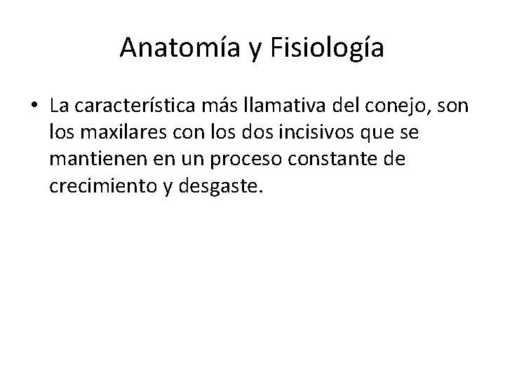 Anatomía y Fisiología • La característica más llamativa del conejo, son los maxilares con