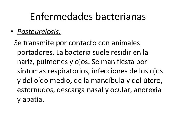 Enfermedades bacterianas • Pasteurelosis: Se transmite por contacto con animales portadores. La bacteria suele