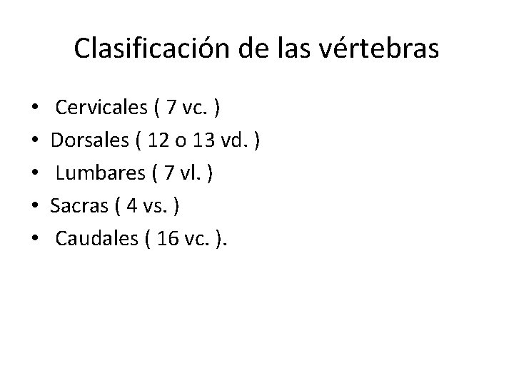 Clasificación de las vértebras • • • Cervicales ( 7 vc. ) Dorsales (