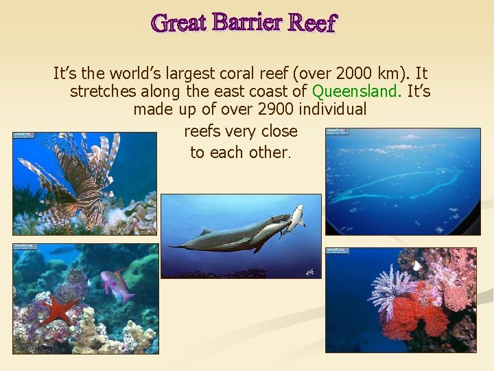 It’s the world’s largest coral reef (over 2000 km). It stretches along the east
