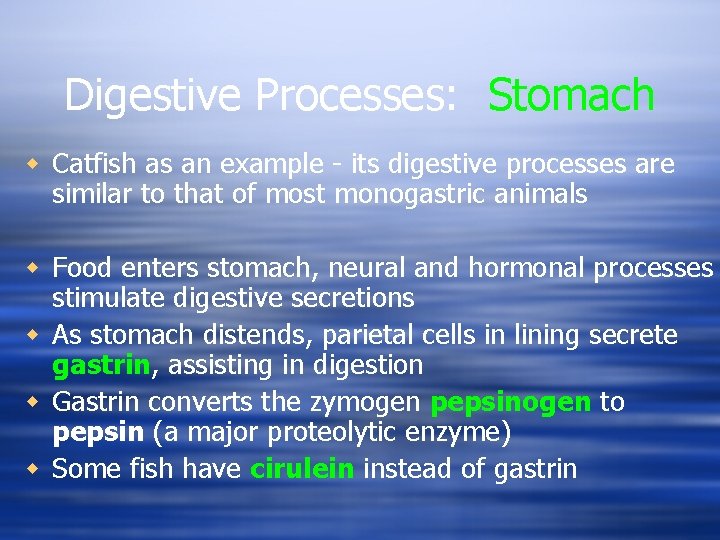Digestive Processes: Stomach w Catfish as an example - its digestive processes are similar