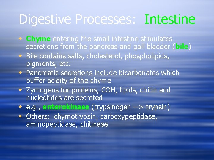 Digestive Processes: Intestine w Chyme entering the small intestine stimulates secretions from the pancreas