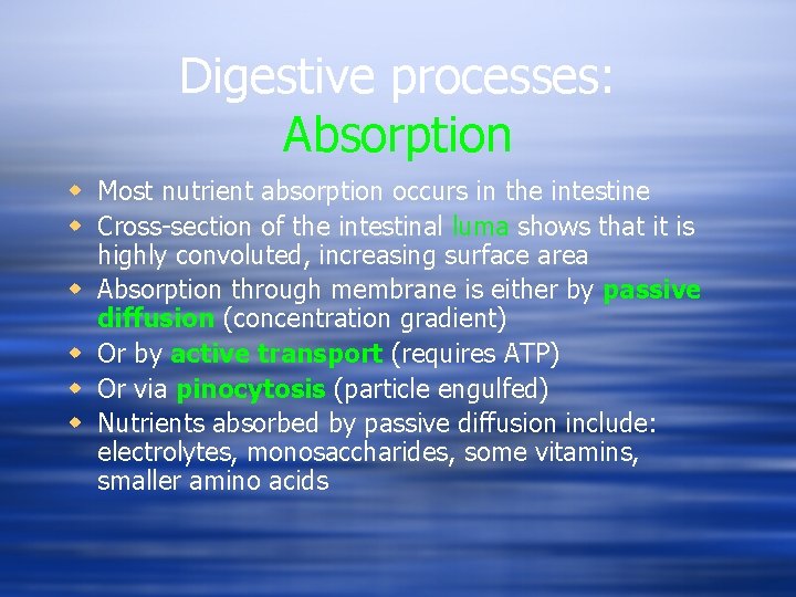 Digestive processes: Absorption w Most nutrient absorption occurs in the intestine w Cross-section of