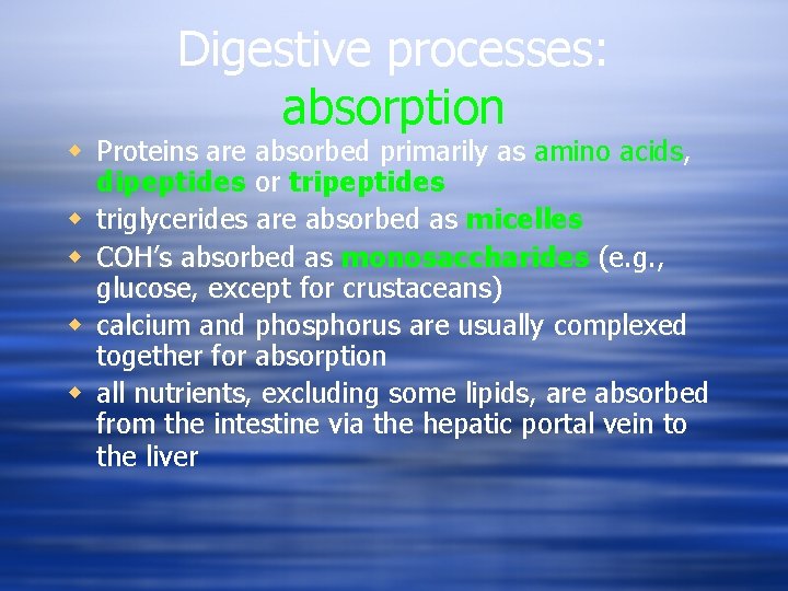 Digestive processes: absorption w Proteins are absorbed primarily as amino acids, dipeptides or tripeptides