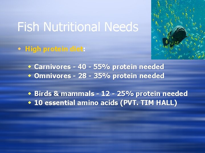 Fish Nutritional Needs w High protein diet: w Carnivores - 40 - 55% protein