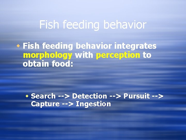 Fish feeding behavior w Fish feeding behavior integrates morphology with perception to obtain food: