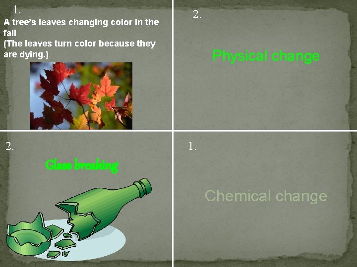 1. A tree’s leaves changing color in the fall (The leaves turn color because