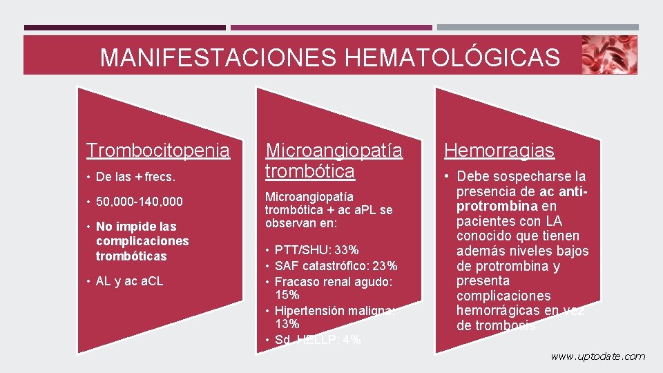 MANIFESTACIONES HEMATOLÓGICAS Trombocitopenia • De las + frecs. • 50, 000 -140, 000 •