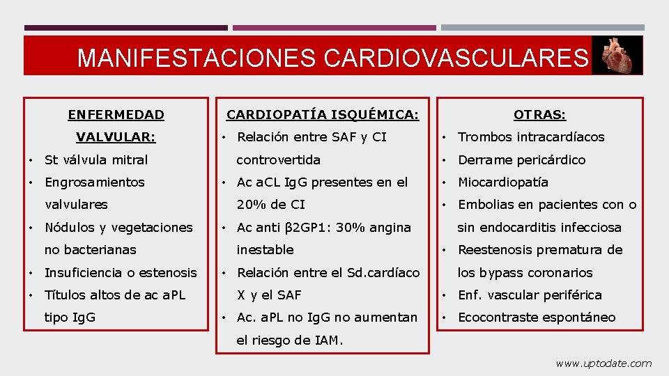 MANIFESTACIONES CARDIOVASCULARES ENFERMEDAD VALVULAR: • St válvula mitral • Engrosamientos valvulares • Nódulos y