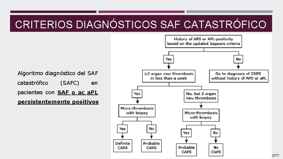 CRITERIOS DIAGNÓSTICOS SAF CATASTRÓFICO Algoritmo diagnóstico del SAF catastrófico (SAFC) en pacientes con SAF