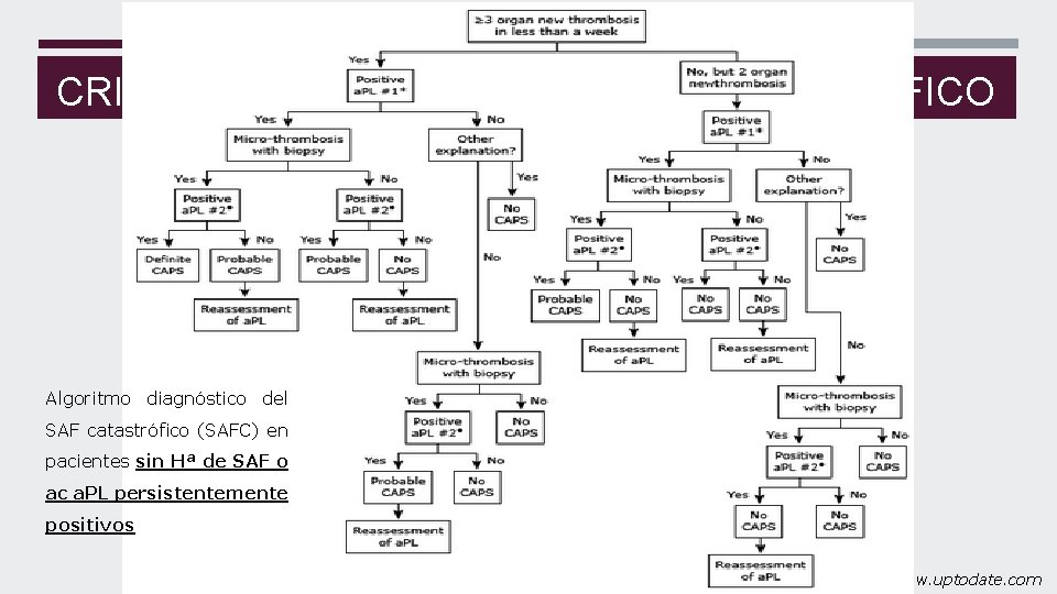 CRITERIOS DIAGNÓSTICOS SAF CATASTRÓFICO Algoritmo diagnóstico del SAF catastrófico (SAFC) en pacientes sin Hª