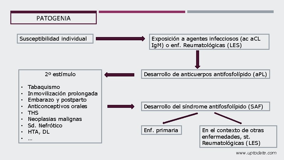 PATOGENIA Susceptibilidad individual 2º estímulo • • • Tabaquismo Inmovilización prolongada Embarazo y postparto