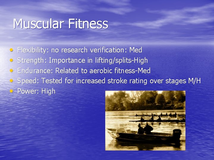 Muscular Fitness • • • Flexibility: no research verification: Med Strength: Importance in lifting/splits-High