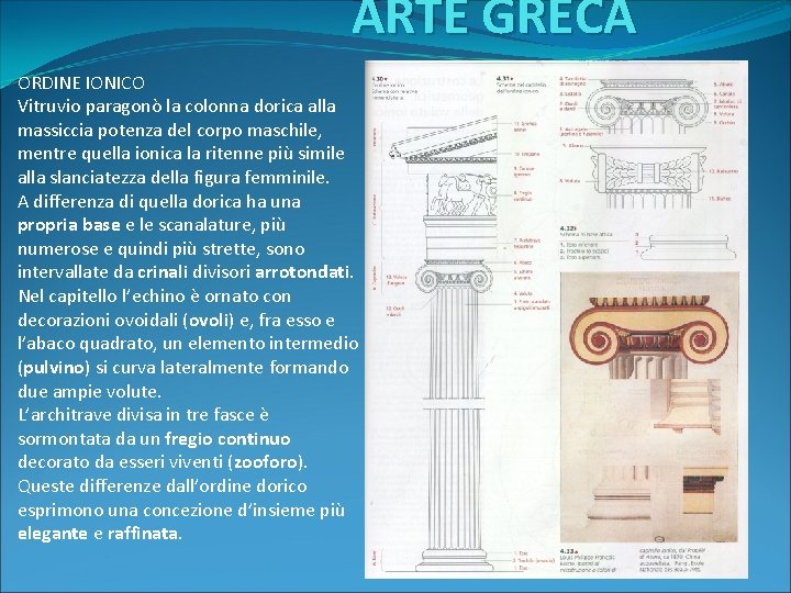 ARTE GRECA ORDINE IONICO Vitruvio paragonò la colonna dorica alla massiccia potenza del corpo