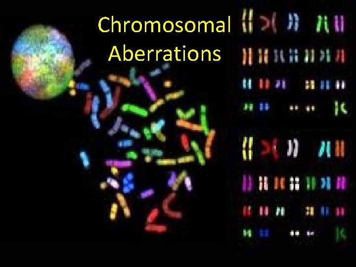 Chromosomal Aberrations 