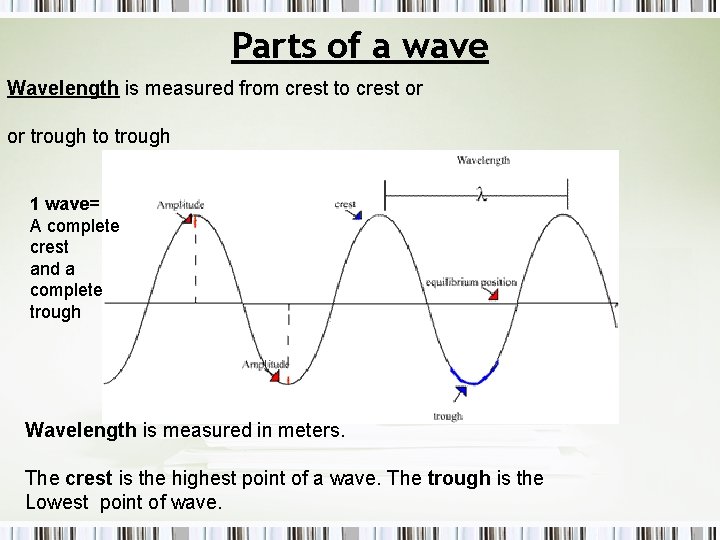 Parts of a wave Wavelength is measured from crest to crest or or trough