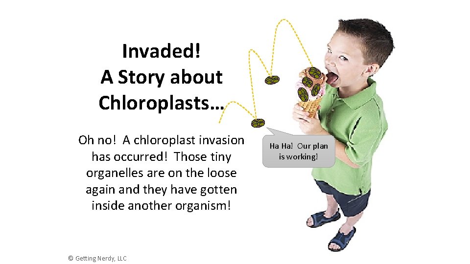 Invaded! A Story about Chloroplasts… Oh no! A chloroplast invasion has occurred! Those tiny