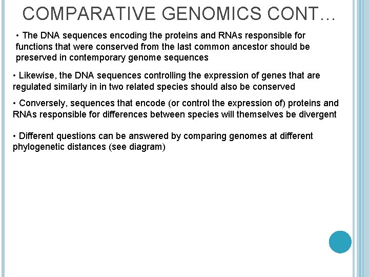 COMPARATIVE GENOMICS CONT… • The DNA sequences encoding the proteins and RNAs responsible for