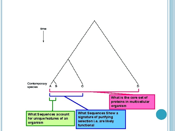 What is the core set of proteins in multicellular organism What Sequences account for