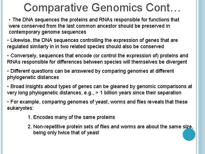Comparative Genomics Cont… • The DNA sequences the proteins and RNAs responsible for functions