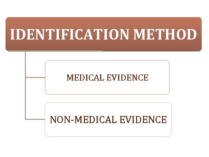 IDENTIFICATION METHOD MEDICAL EVIDENCE NON-MEDICAL EVIDENCE 