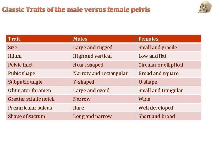 Classic Traits of the male versus female pelvis Trait Males Females Size Large and