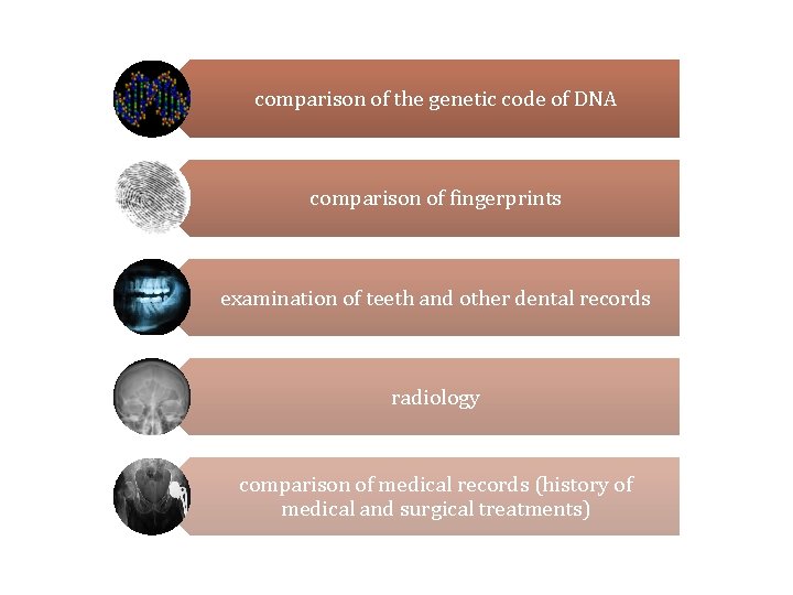 comparison of the genetic code of DNA comparison of fingerprints examination of teeth and