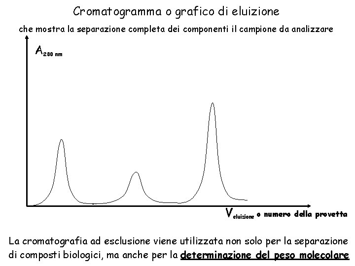 Cromatogramma o grafico di eluizione che mostra la separazione completa dei componenti il campione