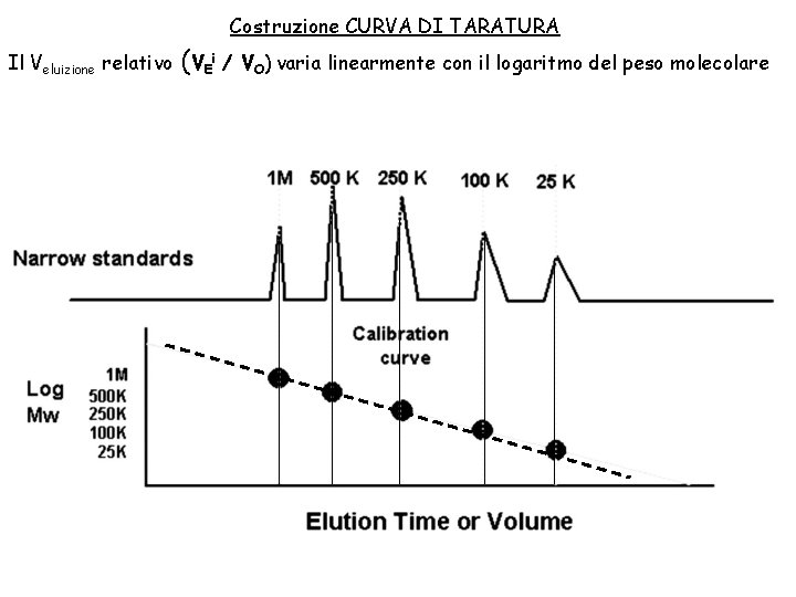 Costruzione CURVA DI TARATURA Il Veluizione relativo (VEi / VO) varia linearmente con il