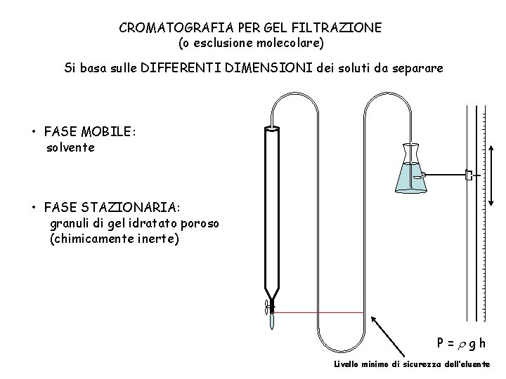 CROMATOGRAFIA PER GEL FILTRAZIONE (o esclusione molecolare) Si basa sulle DIFFERENTI DIMENSIONI dei soluti