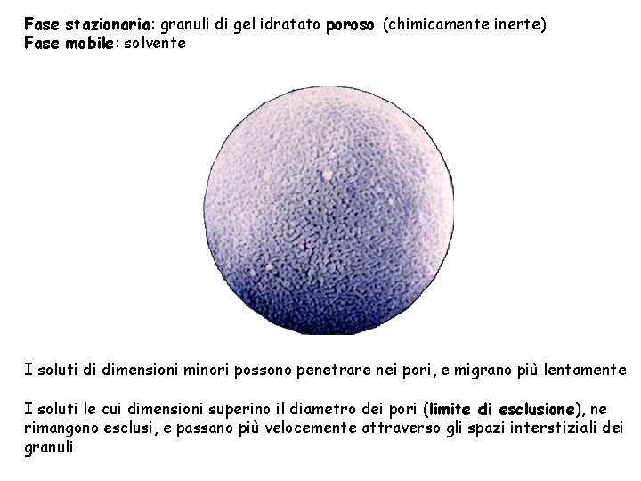 Fase stazionaria: granuli di gel idratato poroso (chimicamente inerte) Fase mobile: solvente I soluti