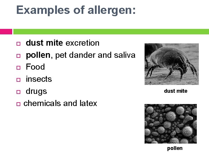 Examples of allergen: dust mite excretion pollen, pet dander and saliva Food insects drugs