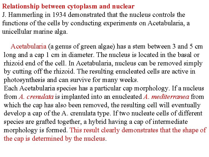 Relationship between cytoplasm and nuclear J. Hammerling in 1934 demonstrated that the nucleus controls