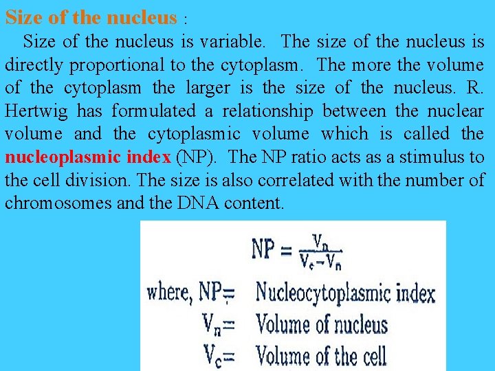 Size of the nucleus : Size of the nucleus is variable. The size of