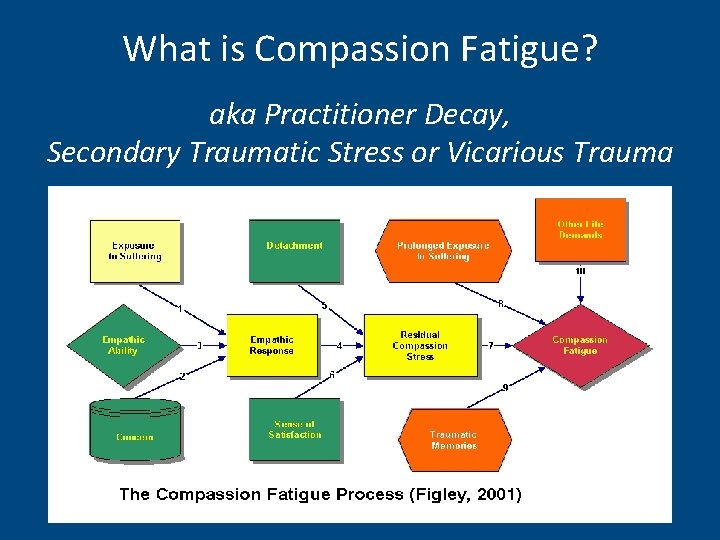 What is Compassion Fatigue? aka Practitioner Decay, Secondary Traumatic Stress or Vicarious Trauma 