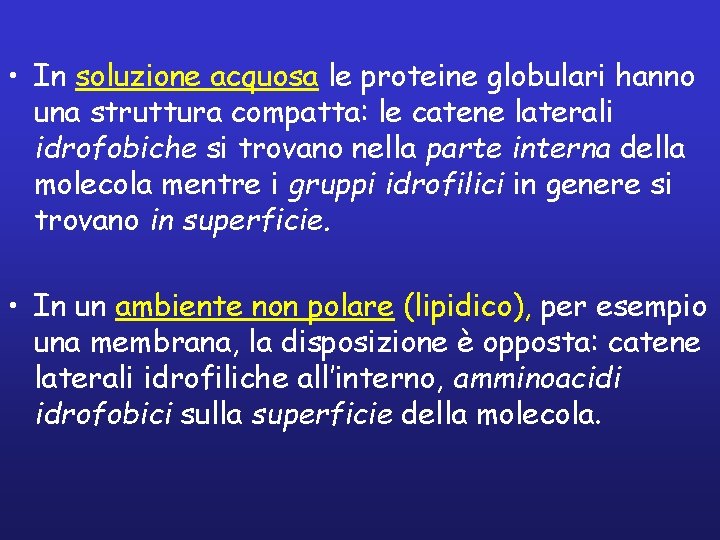  • In soluzione acquosa le proteine globulari hanno una struttura compatta: le catene