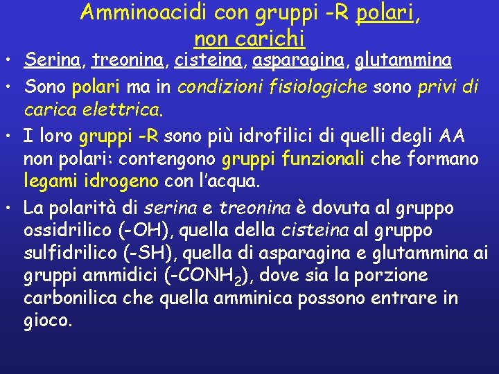 Amminoacidi con gruppi -R polari, non carichi • Serina, treonina, cisteina, asparagina, glutammina •