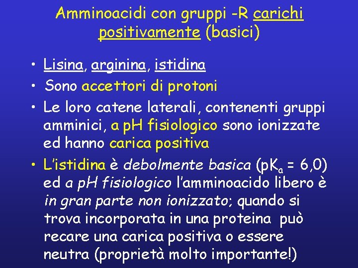 Amminoacidi con gruppi -R carichi positivamente (basici) • Lisina, arginina, istidina • Sono accettori